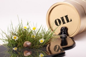 Gewässerschadenhaftpflicht