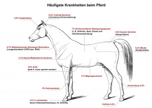Die häufigsten Krankheiten beim Pferd