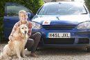 Hundekrankenversicherung für Verkehrsunfälle