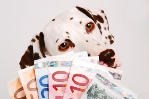 Tierkrankenversicherung Europa