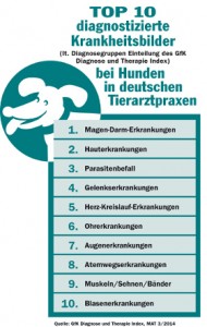 Die häufigsten Hundekrankheiten
