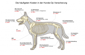 Die häufigsten Hundekrankheiten