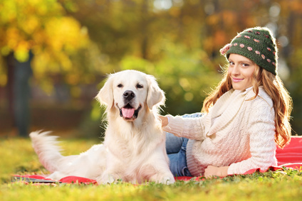 Hundehaftpflicht Versicherungsvergleich