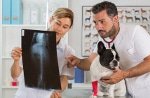 Diagnostik Kosten