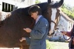 Pferdekrankenversicherung für Tierarztbehandlungen